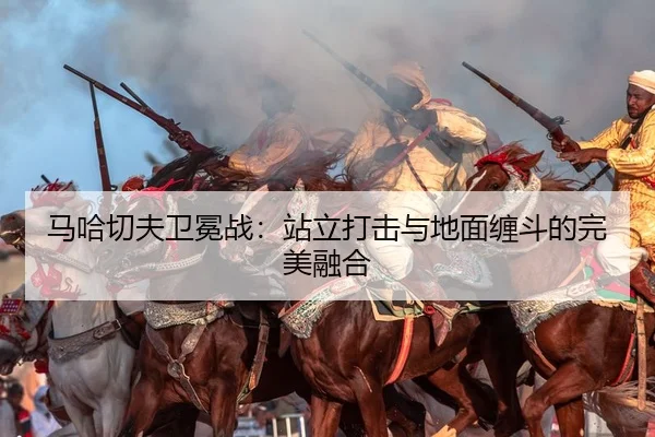 马哈切夫卫冕战：站立打击与地面缠斗的完美融合