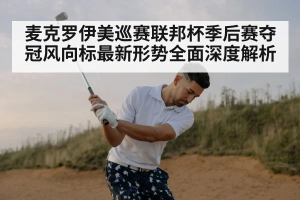 麦克罗伊美巡赛联邦杯季后赛夺冠风向标最新形势全面深度解析