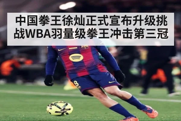 中国拳王徐灿正式宣布升级挑战WBA羽量级拳王冲击第三冠